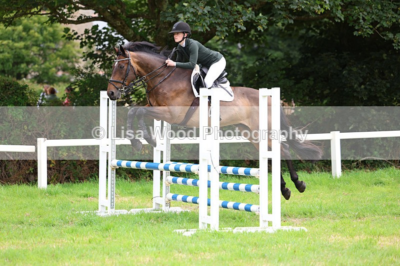 3E7A7284 - Class 5: Senior British Novice/90cm open