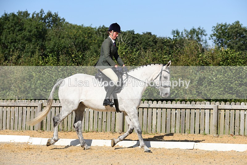 1X9A7728 - Class 9: Open Ridden Hunter