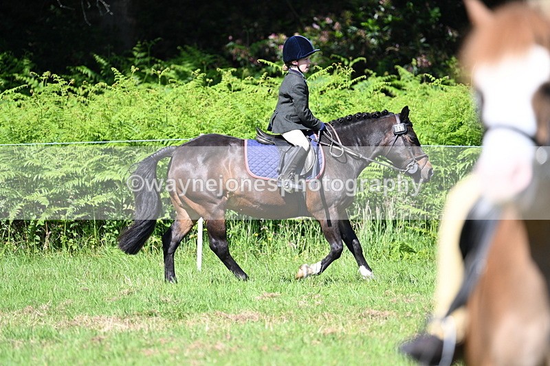 WJ7_0596 - Class 8 First Rally Pony