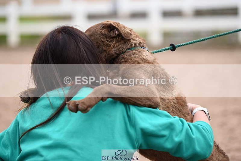 240518A-112232-00768 - Cls 1 Cutest Puppy