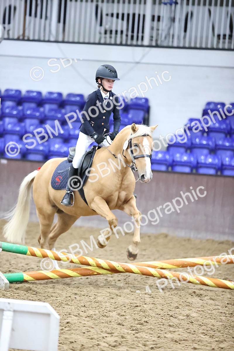 SBM_000079 - Class 1 - Fox Farriers 30cm