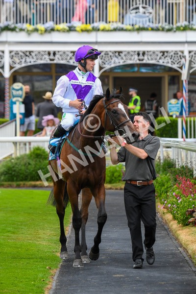 170623-Race 5-Twilight Romance-0802 - Race 5 4.15pm Reg Griffin Appreciation ebfstallions.com Maiden Stakes