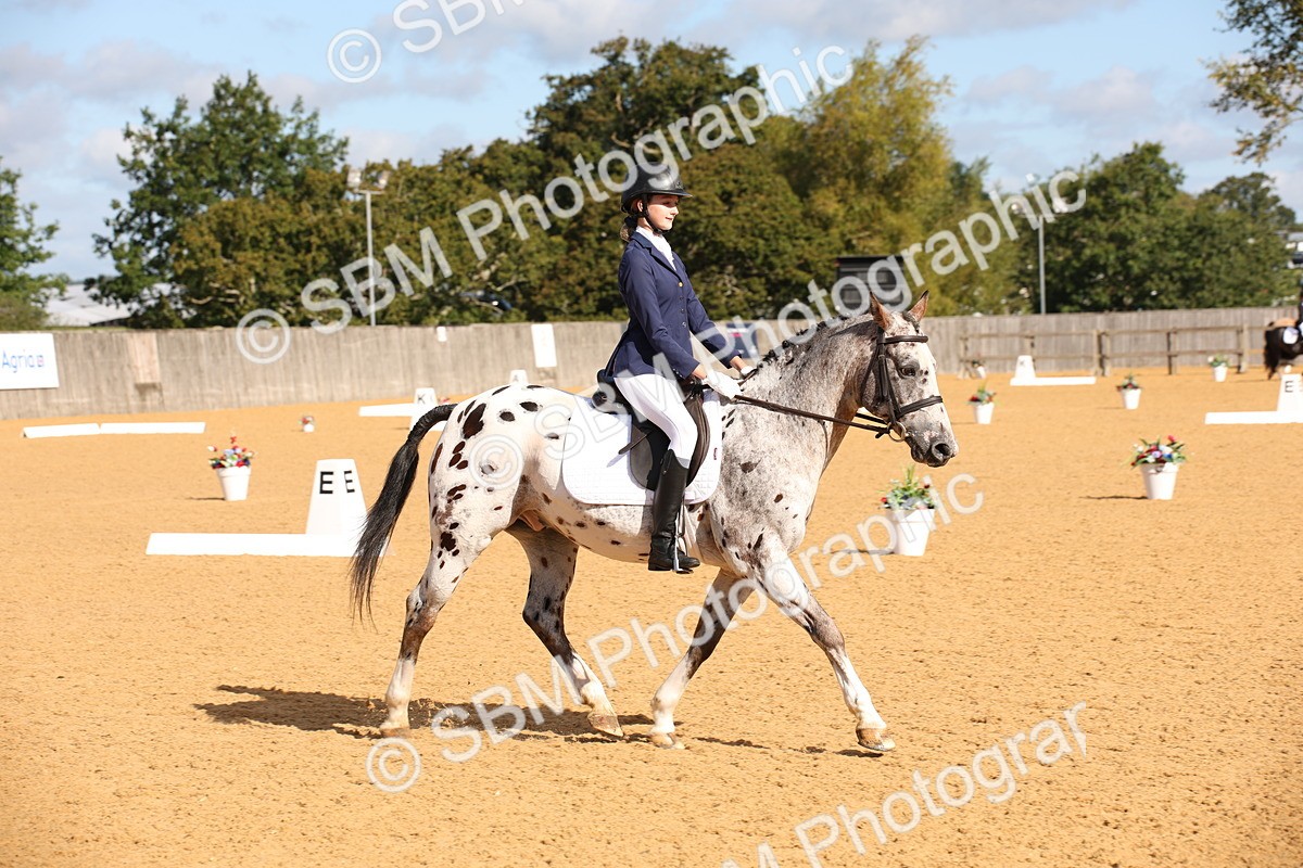 SBM_01952 - D2 Small Tour Championship Intro C