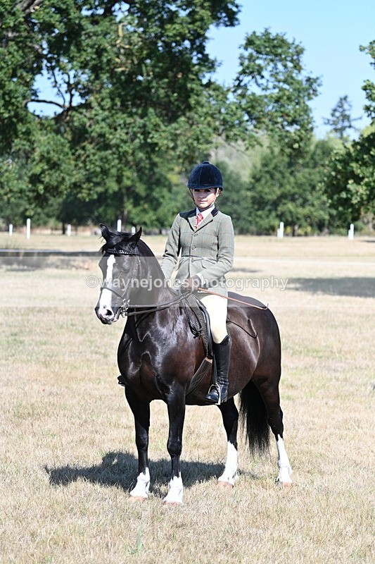 WJ7_4093 - Class 9 Mountain & Moorland Ridden