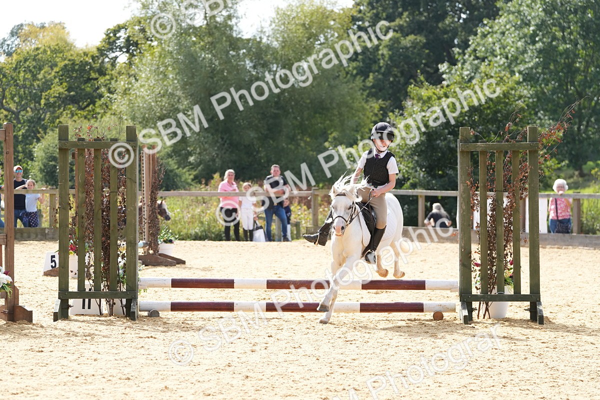 SBM_68414 - J3 - Mini Tour Junior Pony 40cm Championship