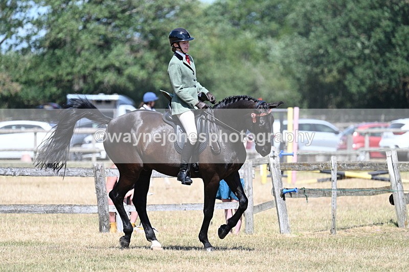 WJ7_3599 - Class 8 Ridden Veterans