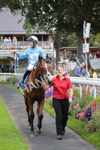yr24092021r8-32 - Race 8 5.25pm William Hill Build Your Own Odds Apprentice Stakes