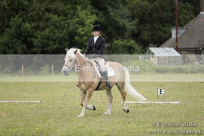BVR160717-1160 - Class 2 Dressage 16/07/17