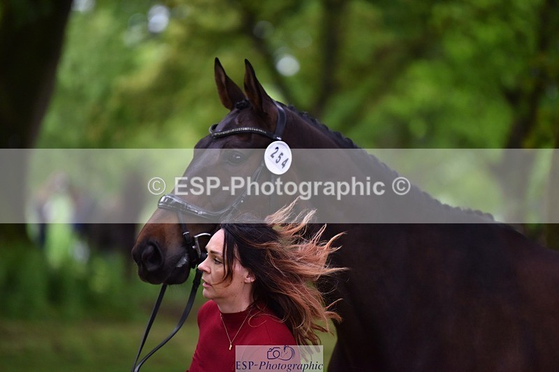 240522-171250-01456 - 254-KILBUNNY_RIOJA-Kate_Penny