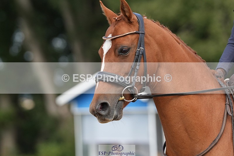 250823A-153307-32309 - PC70 Ride Off