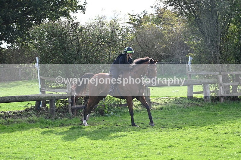 WJ7_0977 - Time 14:27 to 15:11