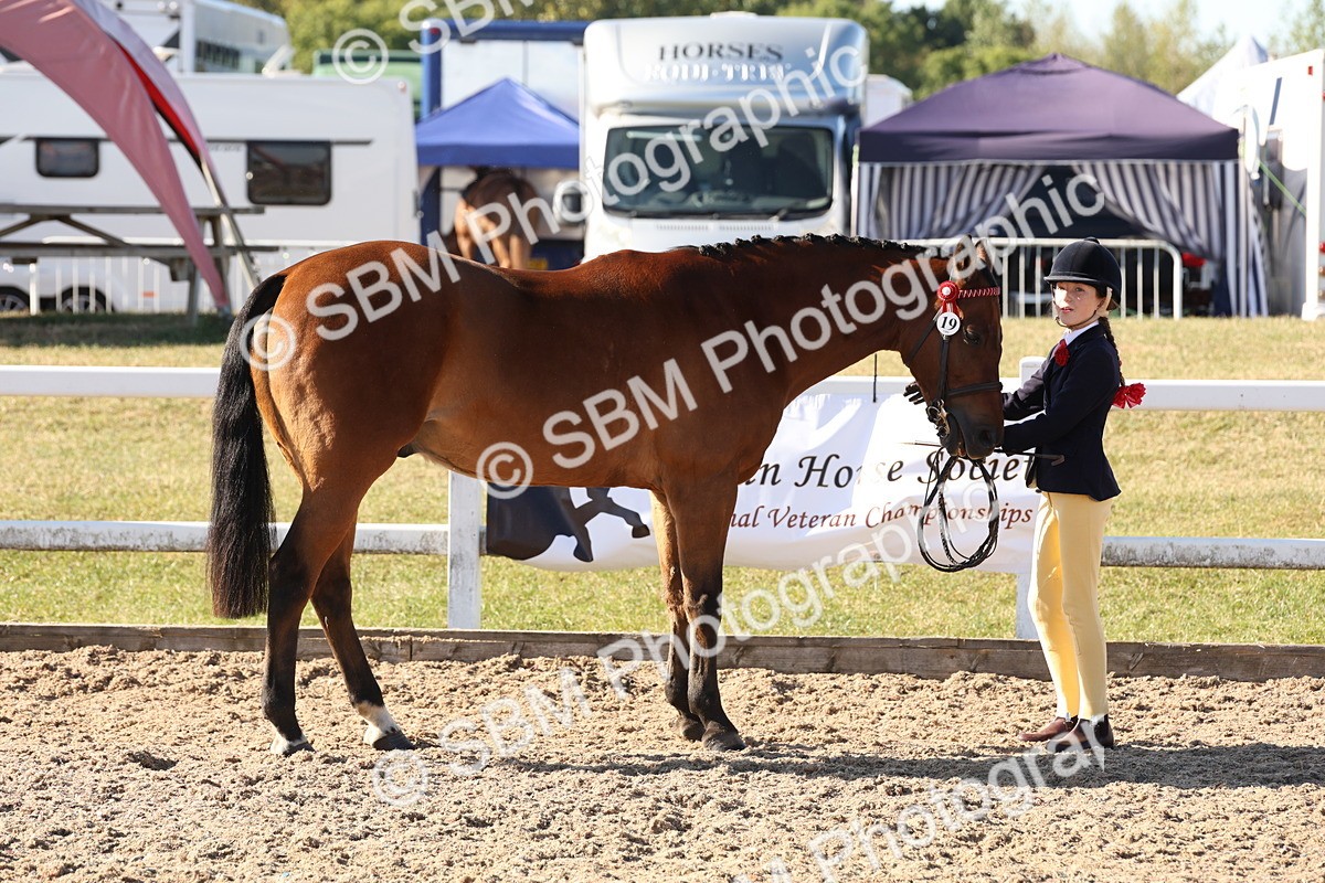 SBM_11724 - Class 204 - Young Handler 11 to 16 years