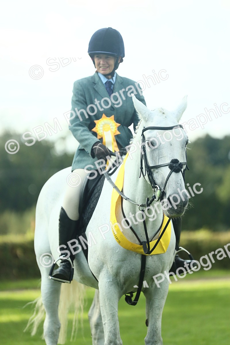 SBM_52220 - S33 - Working Hunter & Working Show Horse