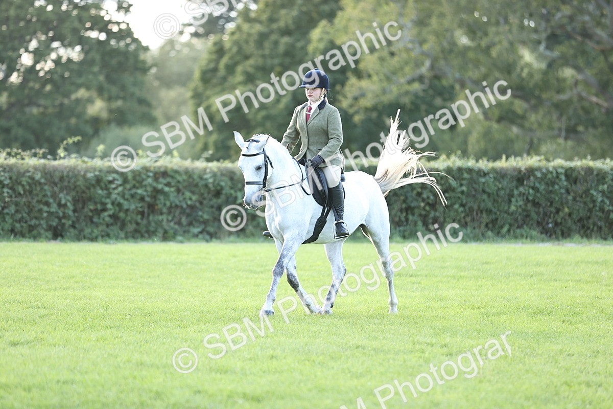 SBM_29556 - S7 - Novice & Newcomers Ridden Pony