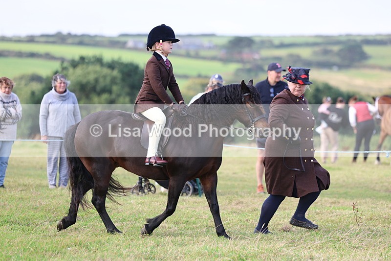 3E7A3403 - Class 2: Lead rein