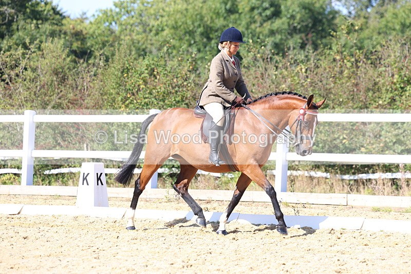 3E7A5689 - Class 10: Riding Horse