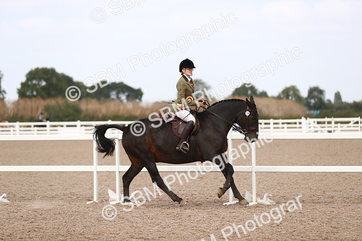 SBM_14939 - Class 212 Ridden Hunter - Small