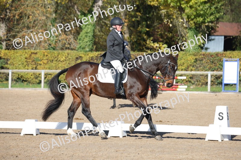 20251102-0501 - Class 3 - Novice 5