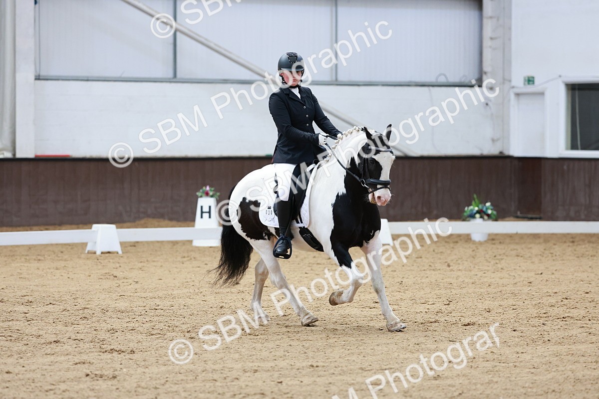 SBM_007238 - Class 6b - Novice 6 - 8.56-9.24