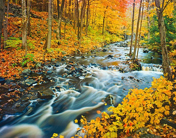Istock #17467647