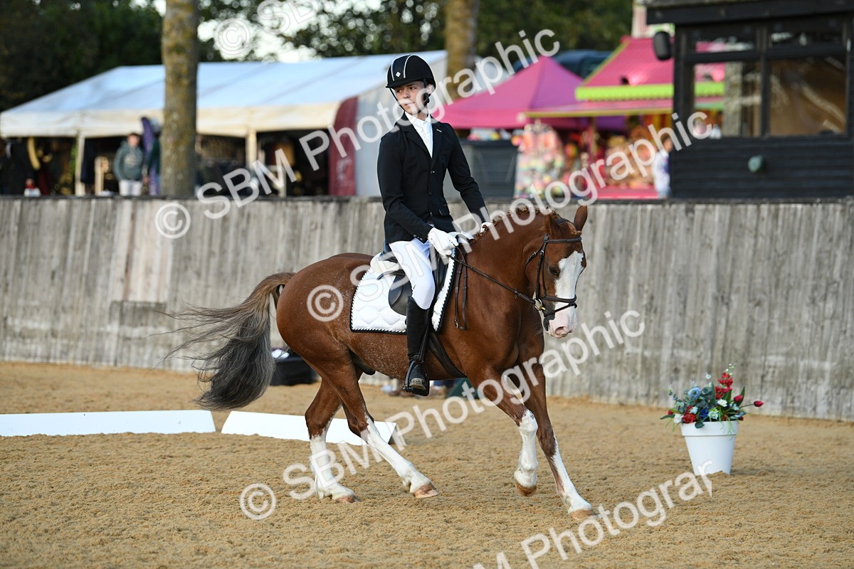 SBM_30987 - D16 - Small Tour Championship - Novice 28