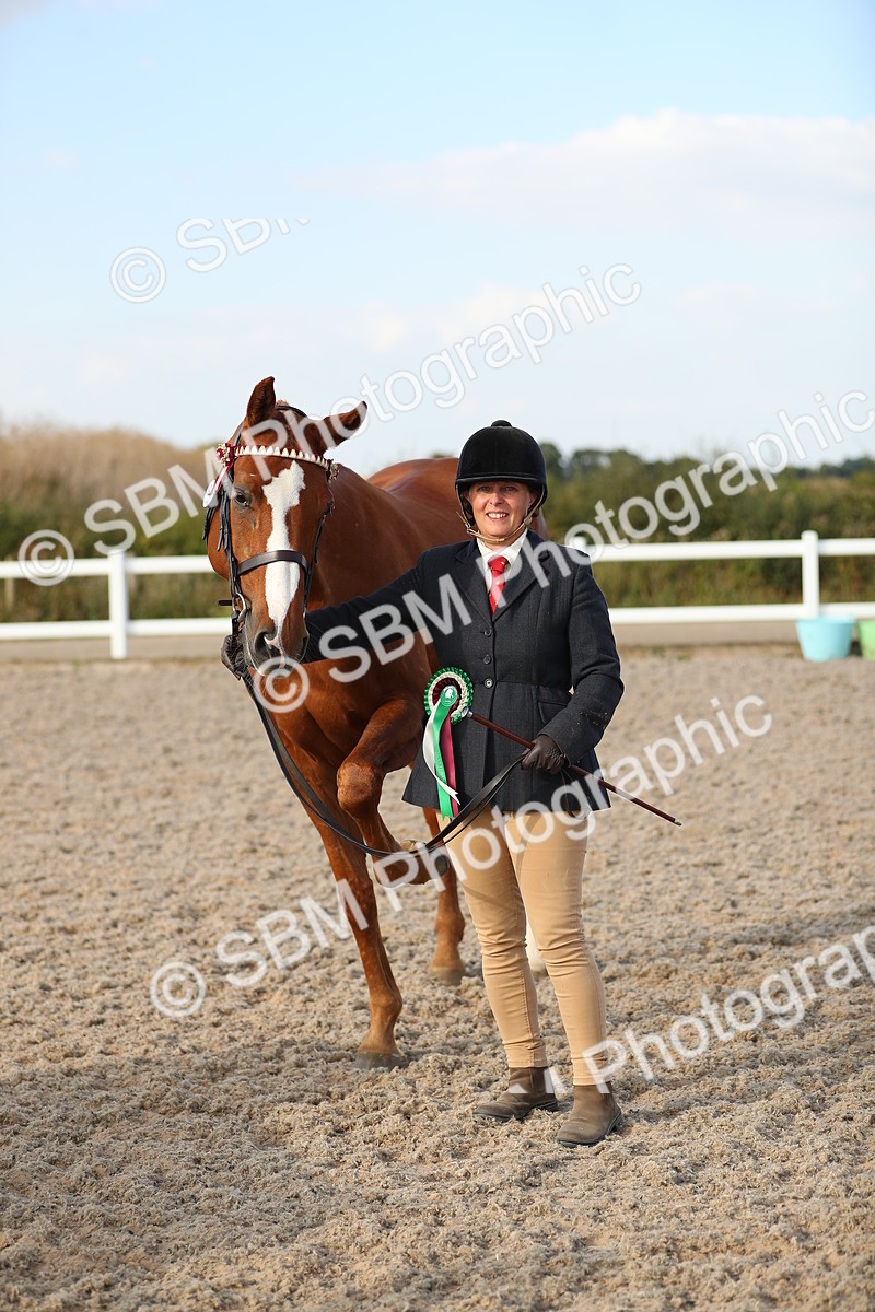 SBM_08695 - Class 28 - IH Veteran Horse
