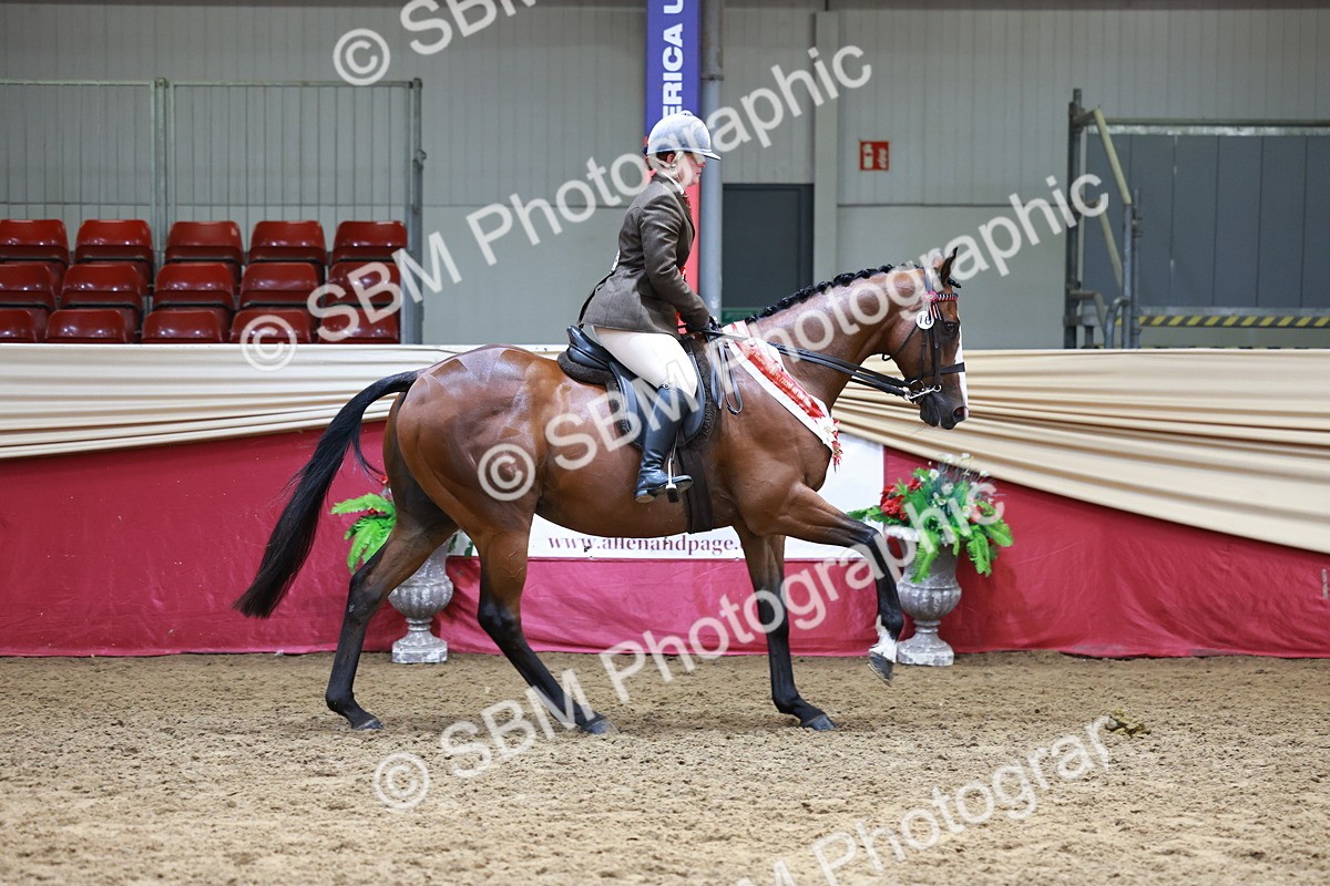 SBM_14998 - Class 108 - Ridden Retired Racehorse