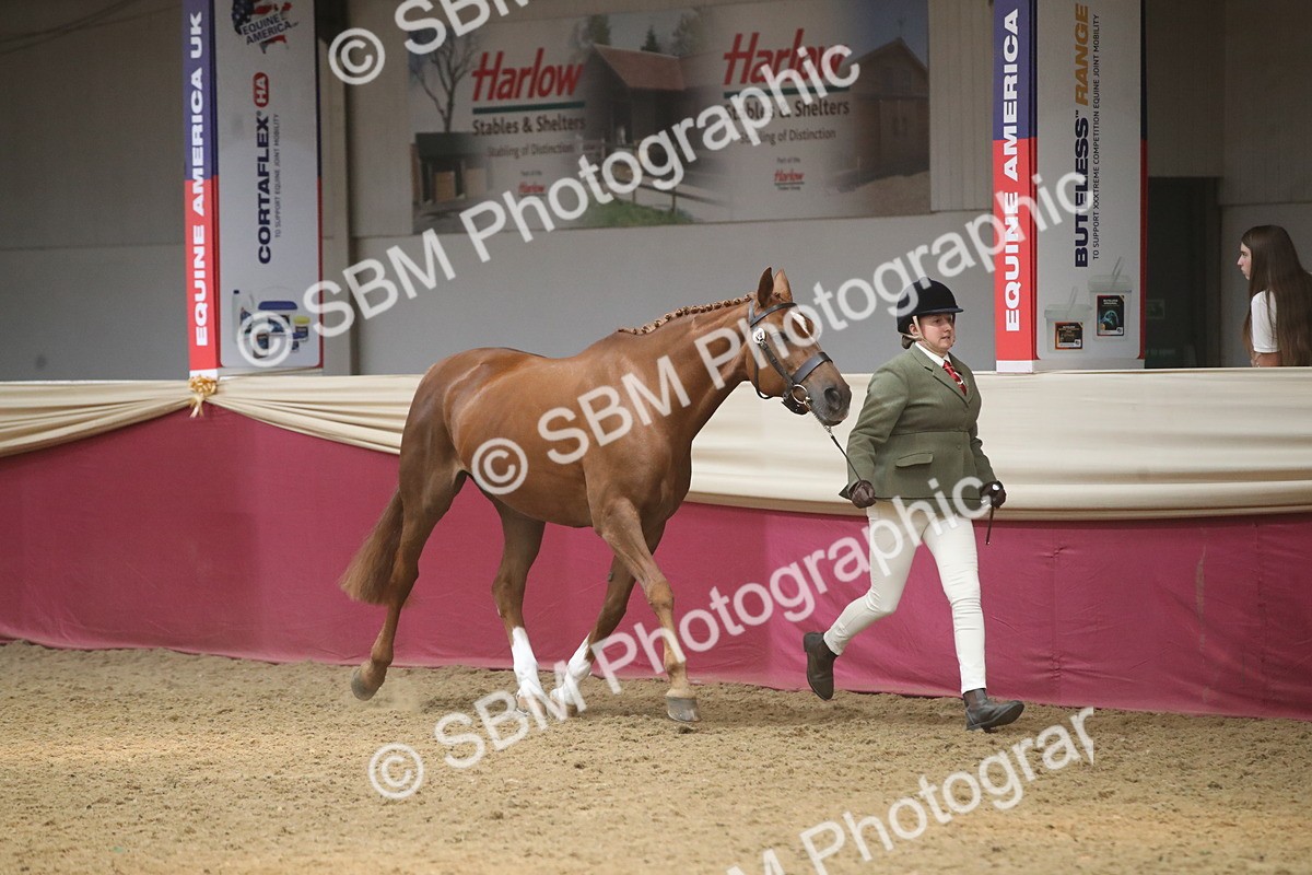 SBM_05488 - Class 9R - Regional IH Pre-Vet