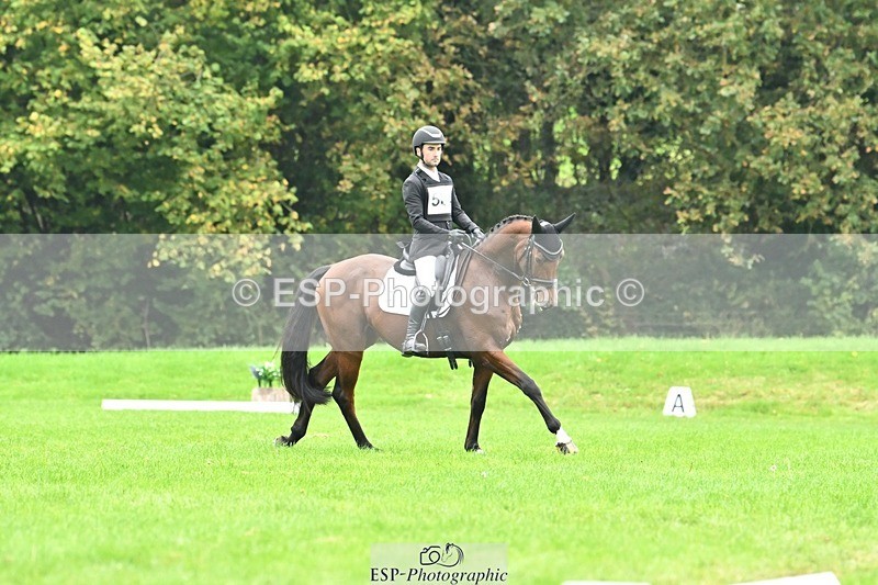 241024-144539-04361 - 584-Tommy.Greengard-I'M.ALL.IN