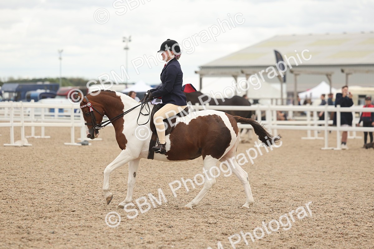 SBM_19152 - Class 316 - Best Pony-Rider Combination