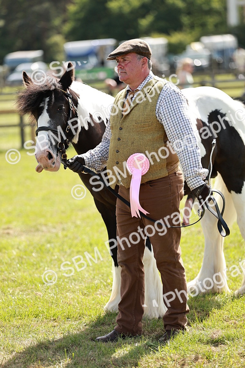 SBM_08732 - Class 63-65 - Traditional Gypsy Cobs In Hand & Ridden