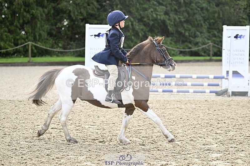 251005A-091359-03004 - Cls 02 GR 50cm