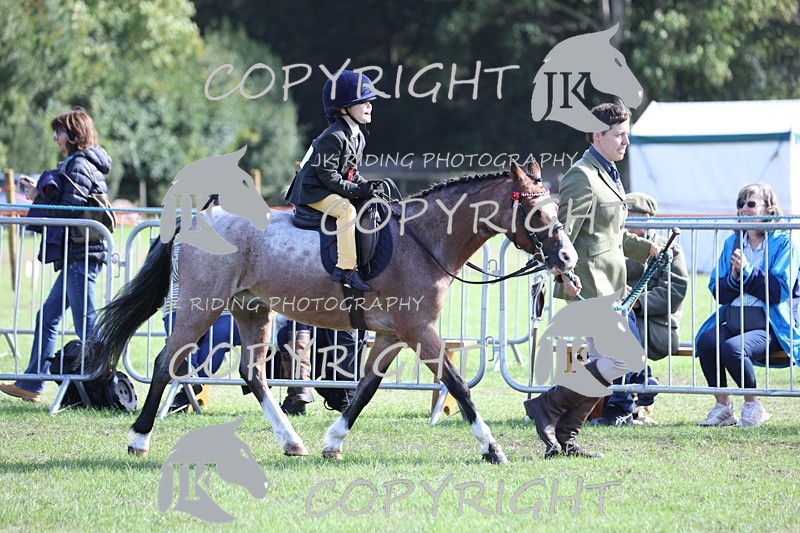 APP_3952 - Class 13 Lead rein