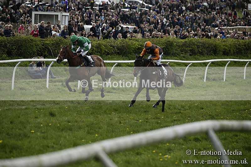 PtP 170417 195 - Old Berks Point-to-Point Lockinge 17/04/17