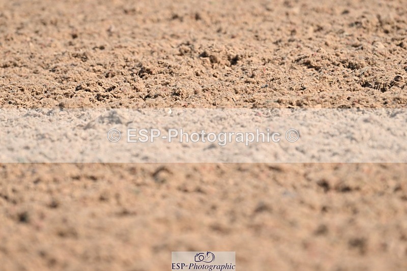 240621A-101248-01306 - Cls 4 BD Novice 22