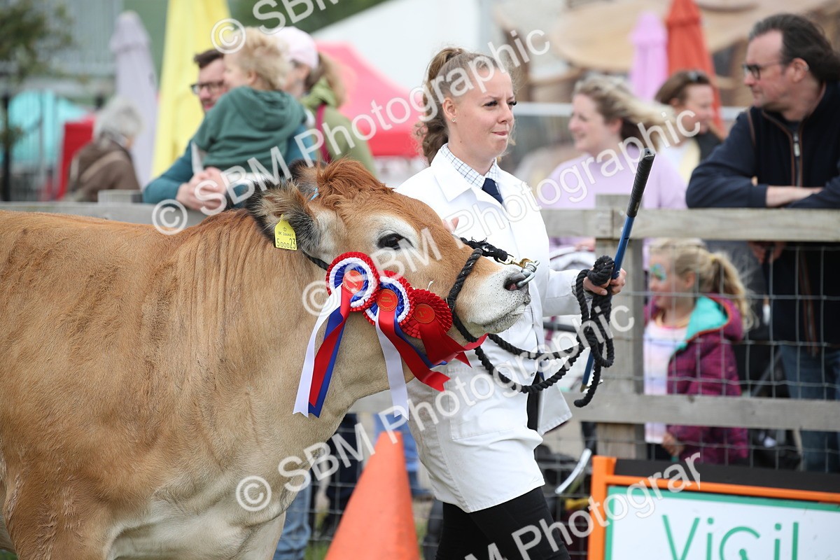 SBM_07843 - Grand Parade