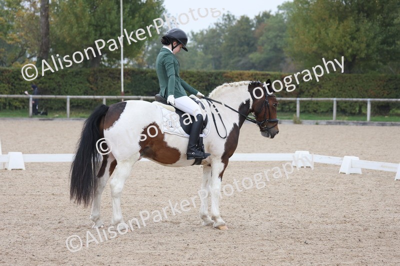 20251012-0710 - Class 6 - Elementary 6