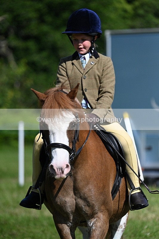 WJ7_0703 - Class 8 First Rally Pony