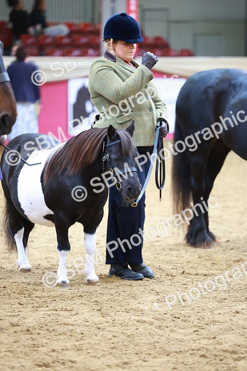 SBM_04273 - Class 9R - IH Pre-Vet
