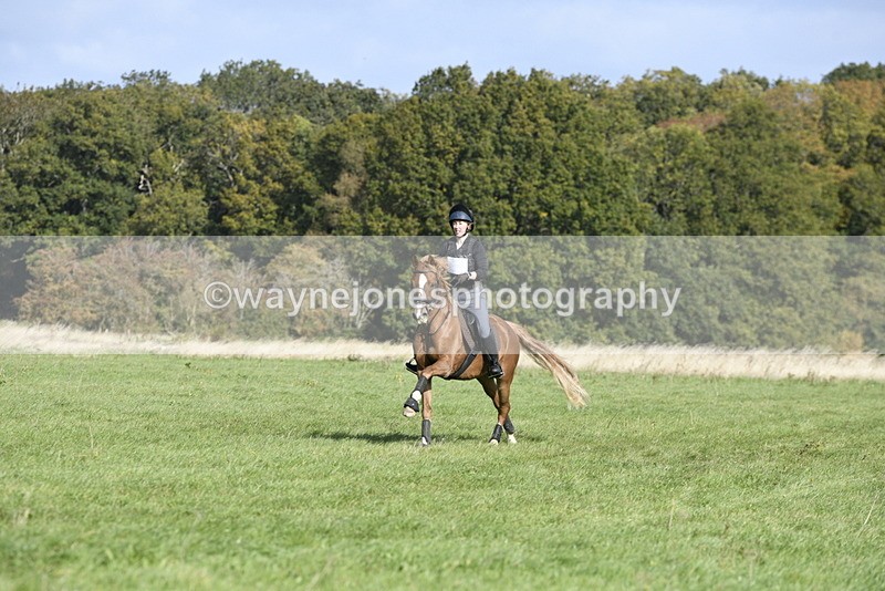 _DSC6519 - Time 11:23 to 12:05