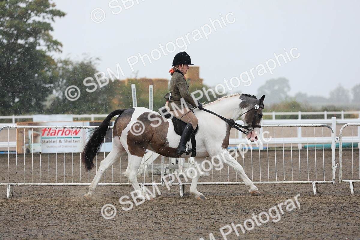 SBM_20566 - Class 804 - Ridden Veteran Pony