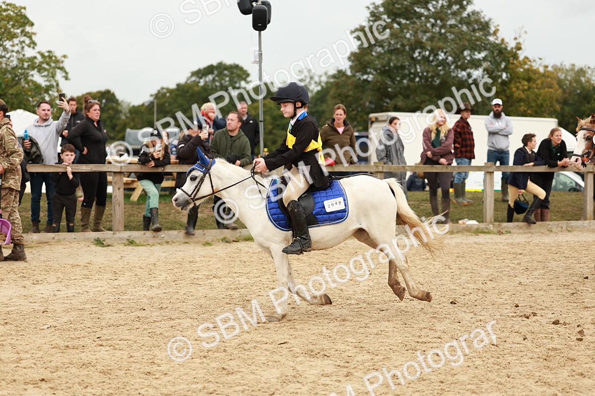 SBM_58130 - J11 - Junior Pony 50cm Championship