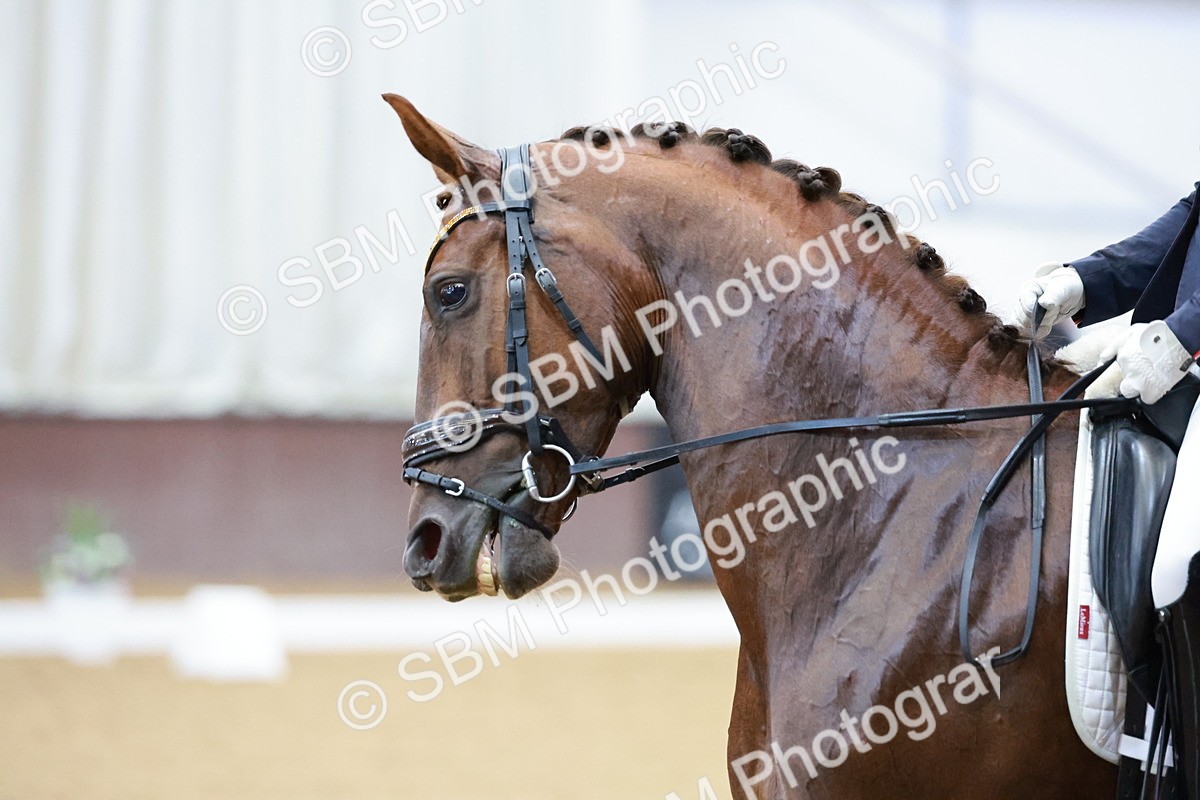 SBM_005616 - Class 3 - Medium 6 - 14.40-15.52