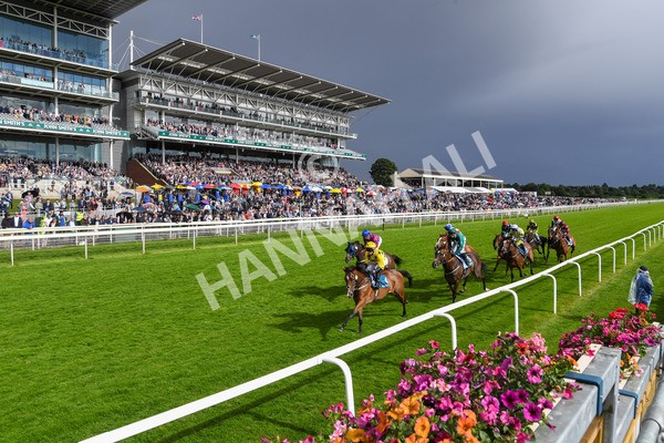 150723-Race 6-Robert Johnson-0438 - Race 6 4.55pm John Smith's Stayers' Handicap
