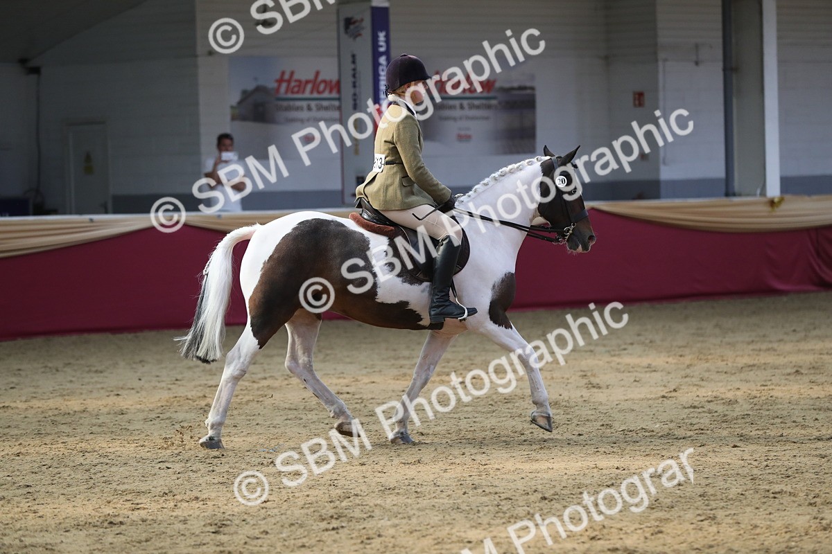 SBM_08423 - Class 11R Regional Ridden Veteran