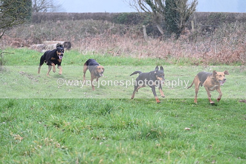 WJ7_0296 - Line 2 cam A