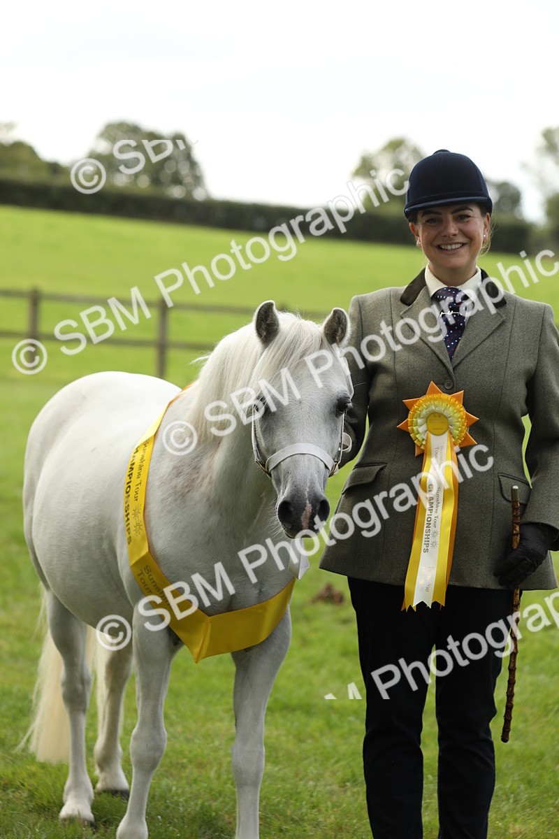 SBM_62843 - S46 - Mountain & Moorland In Hand Small Breeds