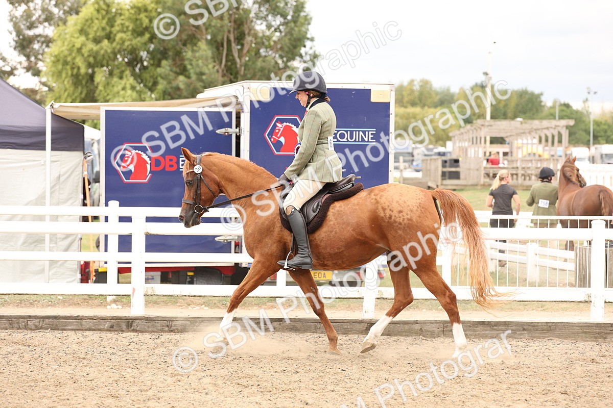 SBM_06291 - Class 57b -  Style & Performance - 60cm (20+)