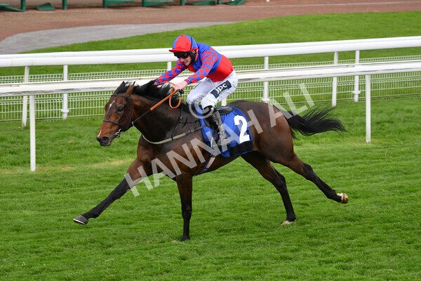 yr14052021r6-15 - Race 6 4.15pm Yorkshire Equine Practice Stakes