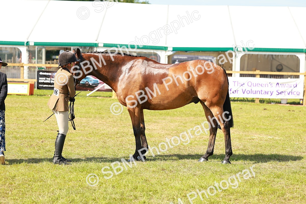 SBM_12061 - Class 66-69 - RIHS Ridden Hunters Inc Small Hunter